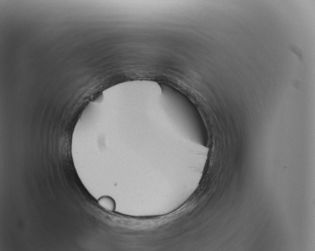 X0000116310048200912291459