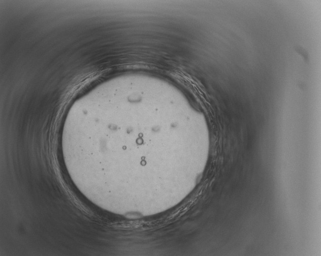 X0000116310049200912291459