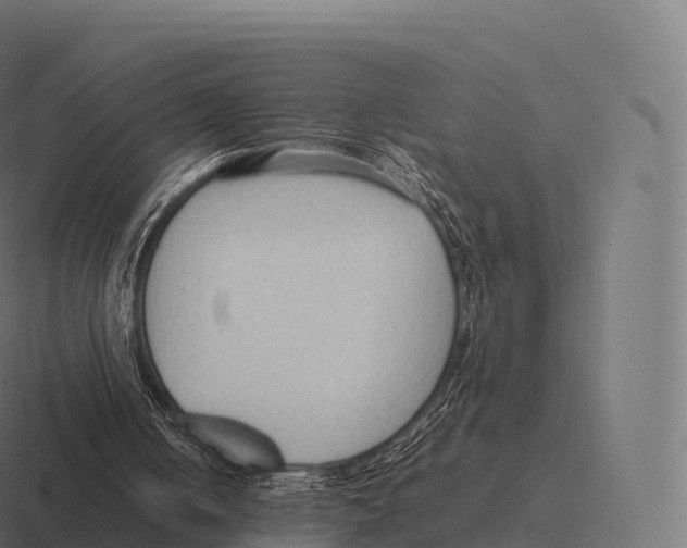 X0000116310050200912291459