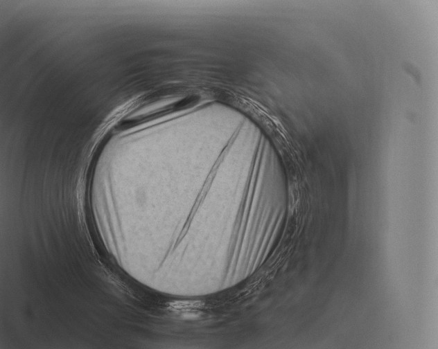 X0000116310051200912291459