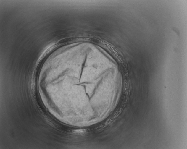 X0000116310053200912291459