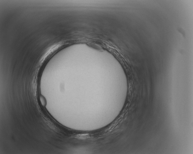 X0000116310054200912291459