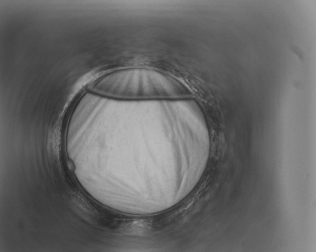 X0000116310056200912291459