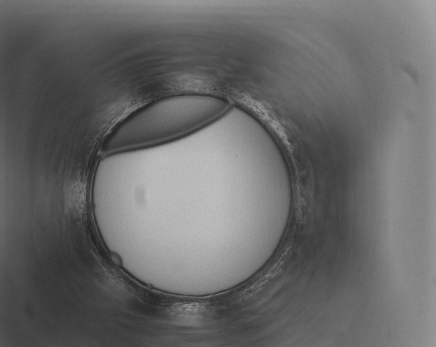 X0000116310057200912291459