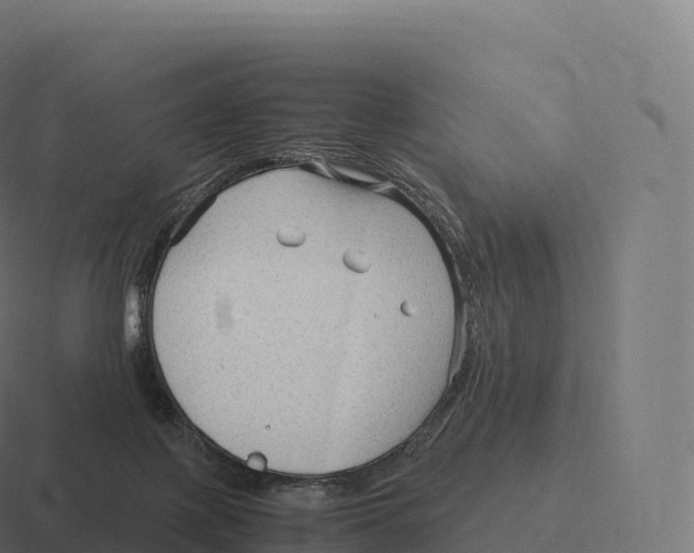 X0000116310075200912291459