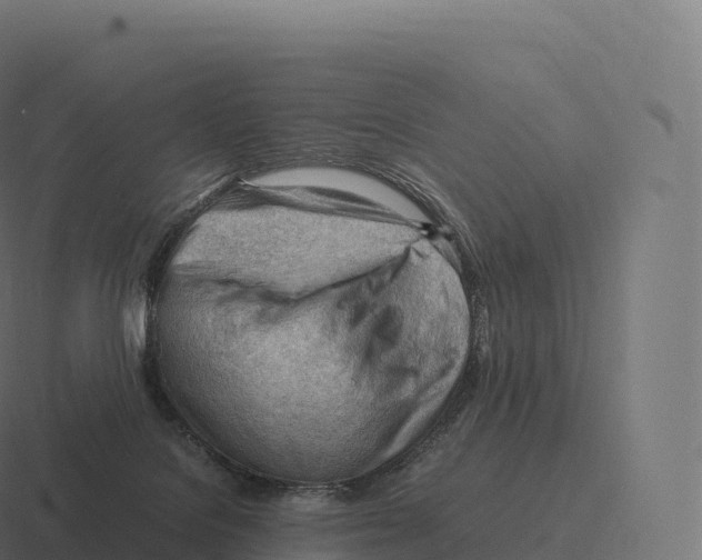 X0000116310076200912291459