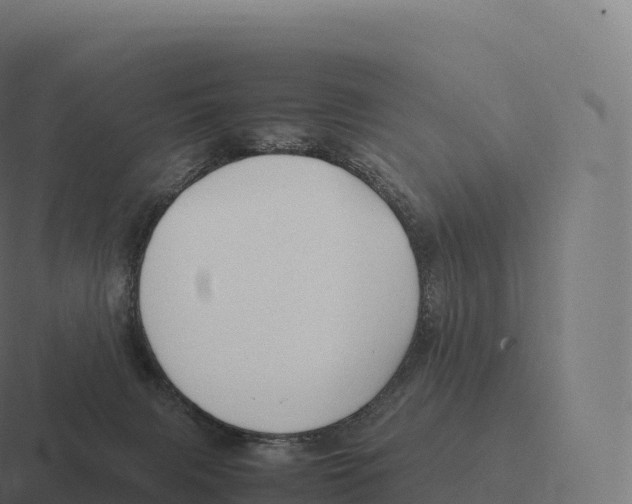 X0000116310079200912291459