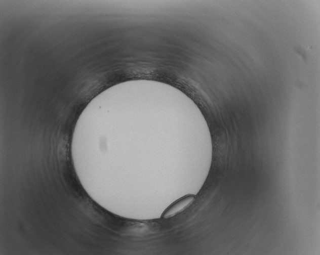 X0000116310083200912291459