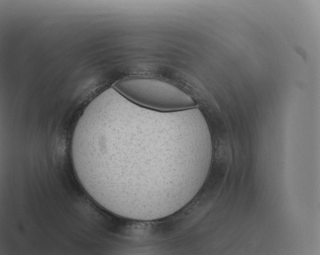 X0000116310084200912291459