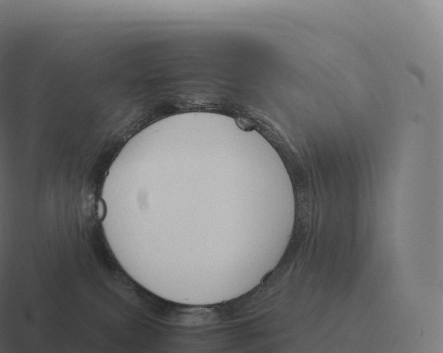 X0000116310087200912291459