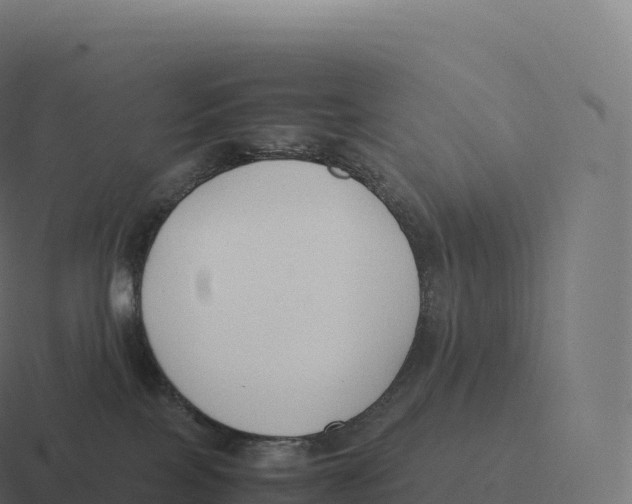 X0000116310089200912291459