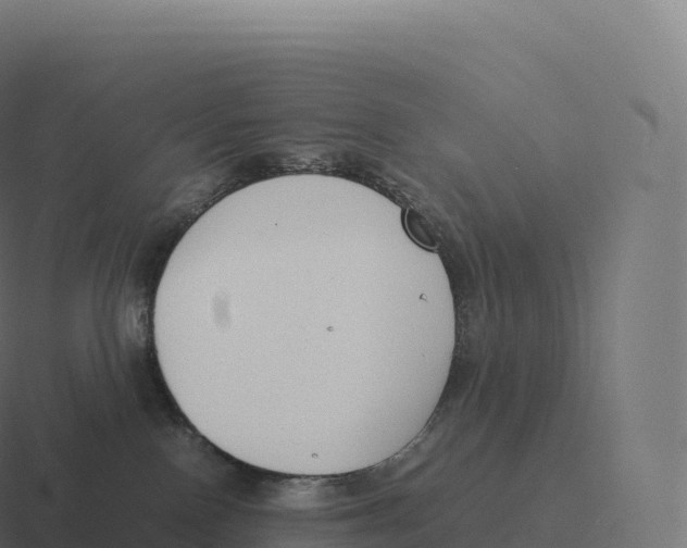 X0000116310090200912291459