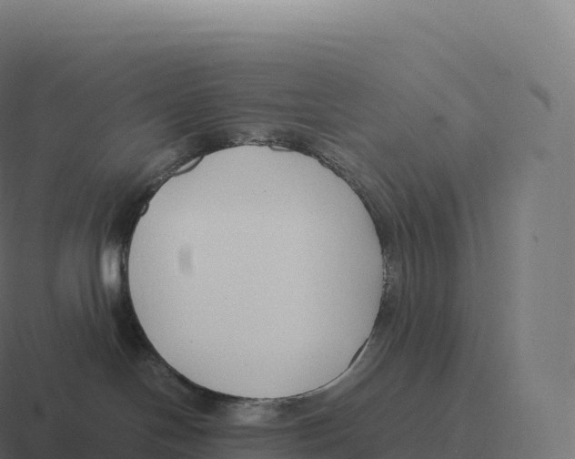 X0000116310094200912291459