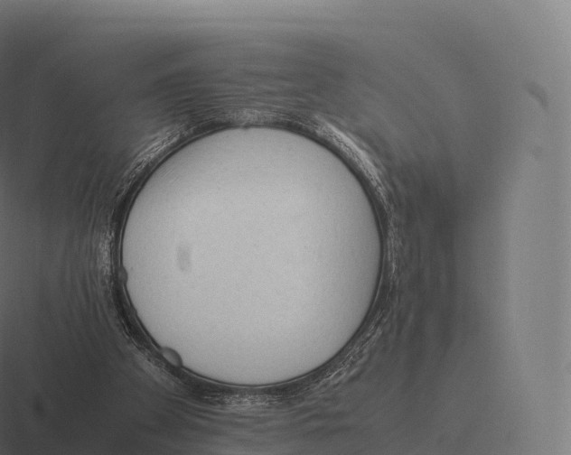 X0000116310105200912291459