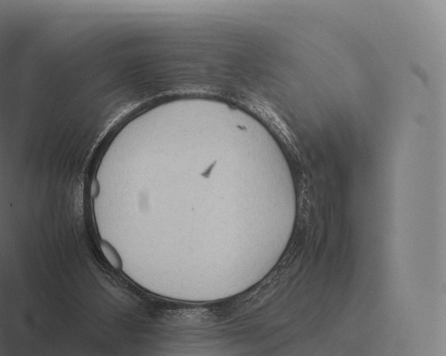 X0000116310108200912291459