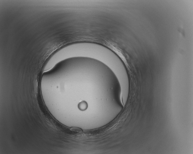 X0000116310109200912291459