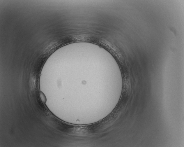 X0000116310117200912291459