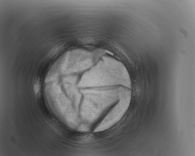 X0000116310124200912291458