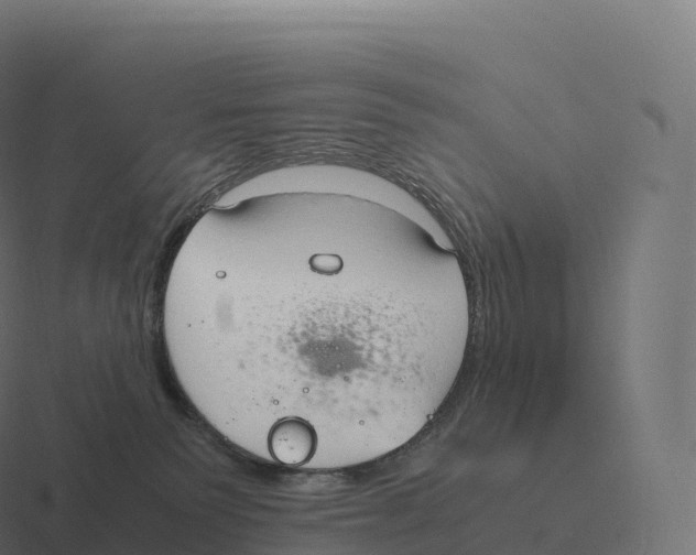 X0000116310135200912291458