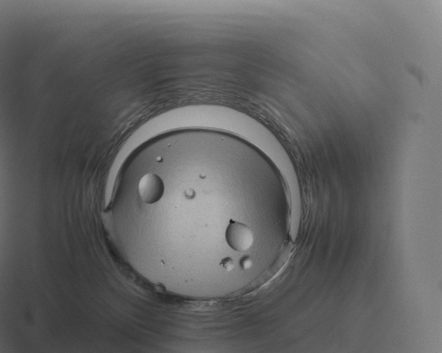 X0000116310136200912291458