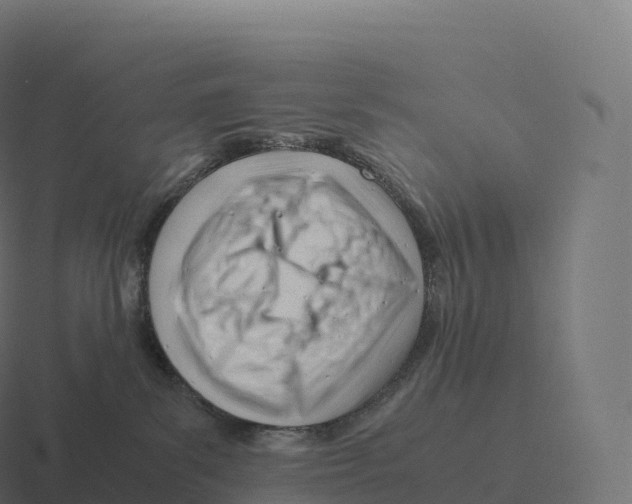 X0000116310139200912291458