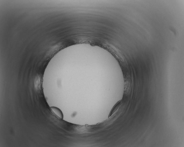 X0000116310142200912291458