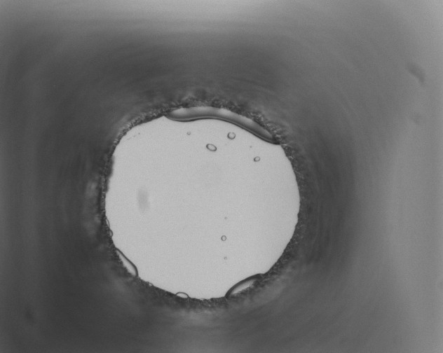 X0000116310144200912291458