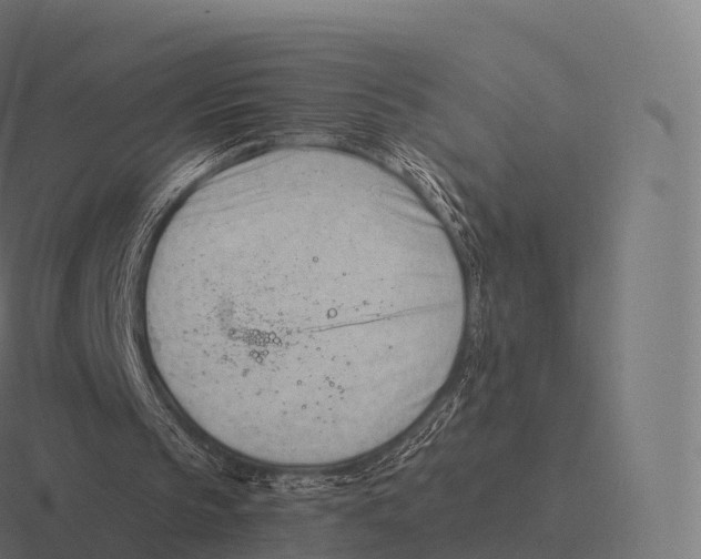 X0000116310145200912291458