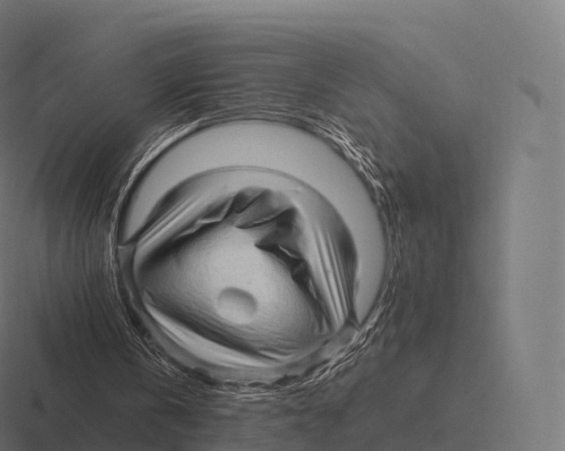 X0000116310146200912291458