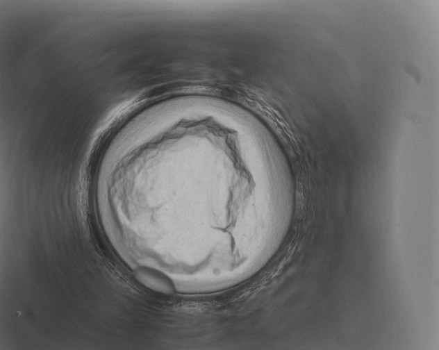 X0000116310149200912291458