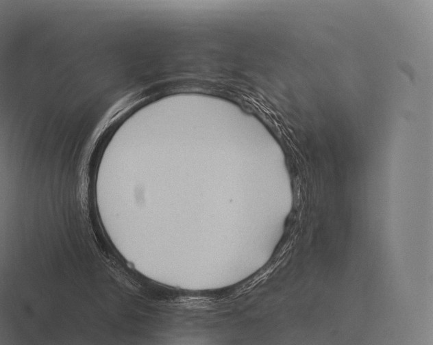 X0000116310150200912291458