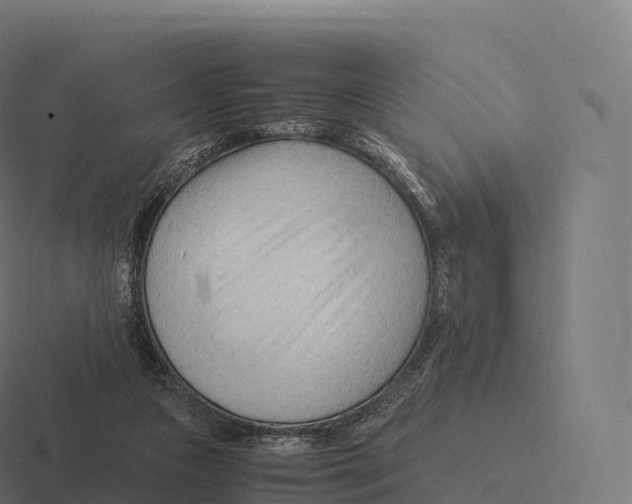 X0000116310161200912291458