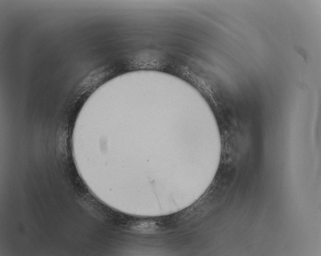 X0000116310162200912291458