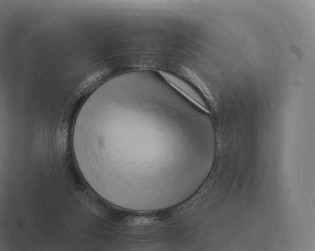 X0000116310163200912291458