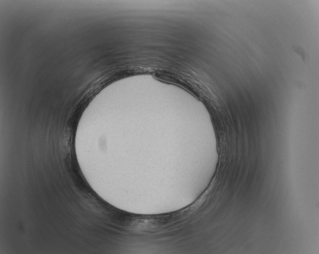 X0000116310174200912291458