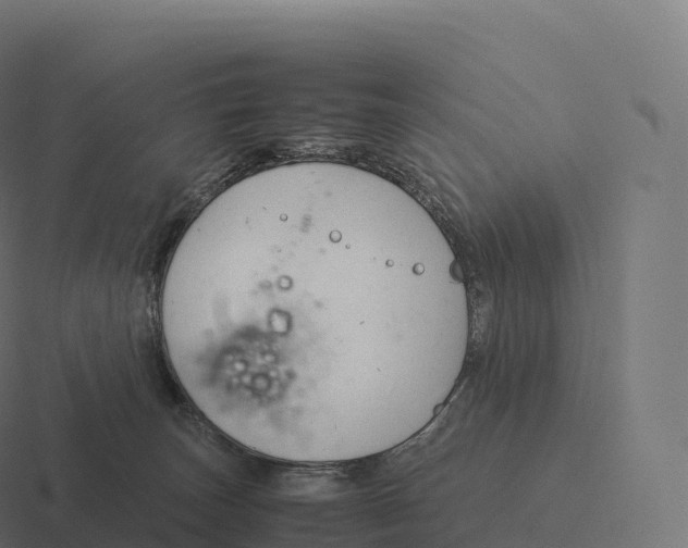 X0000116310179200912291458