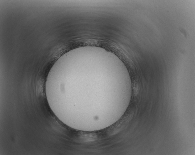 X0000116310185200912291458