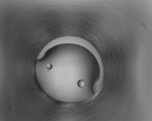 X0000116310186200912291458