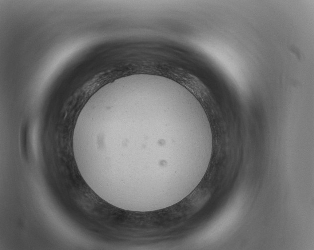 X0000116310189200912291458