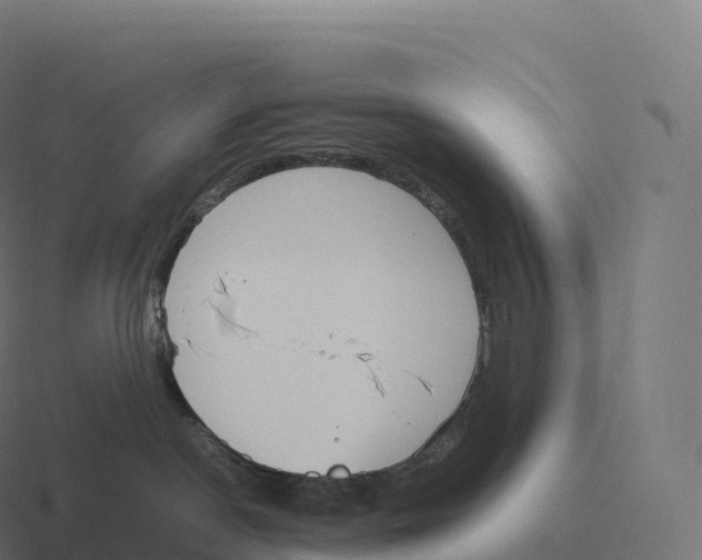 X0000116310190200912291458