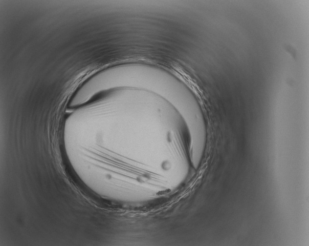 X0000116310193200912291458