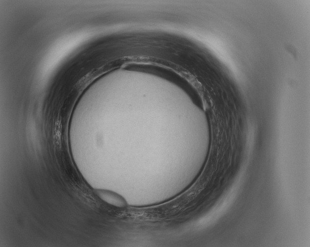 X0000116310194200912291458