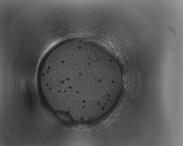 X0000116310196200912291458