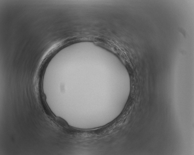 X0000116310197200912291458