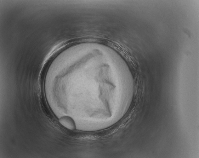 X0000116310198200912291458