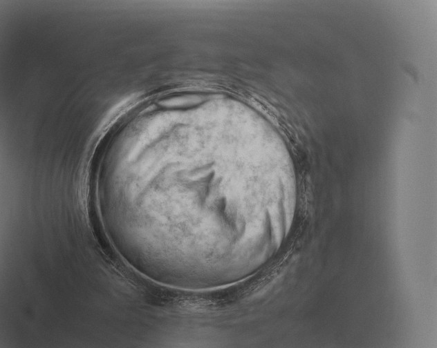 X0000116310199200912291458