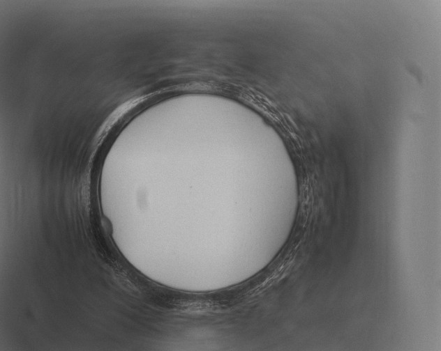 X0000116310200200912291457