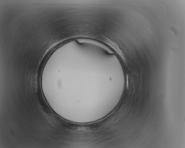 X0000116310204200912291457