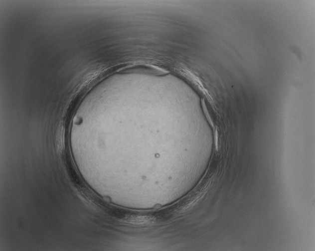 X0000116310205200912291457