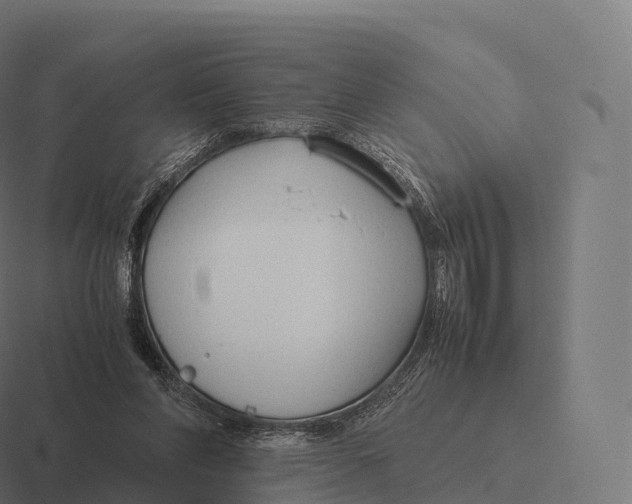 X0000116310206200912291457